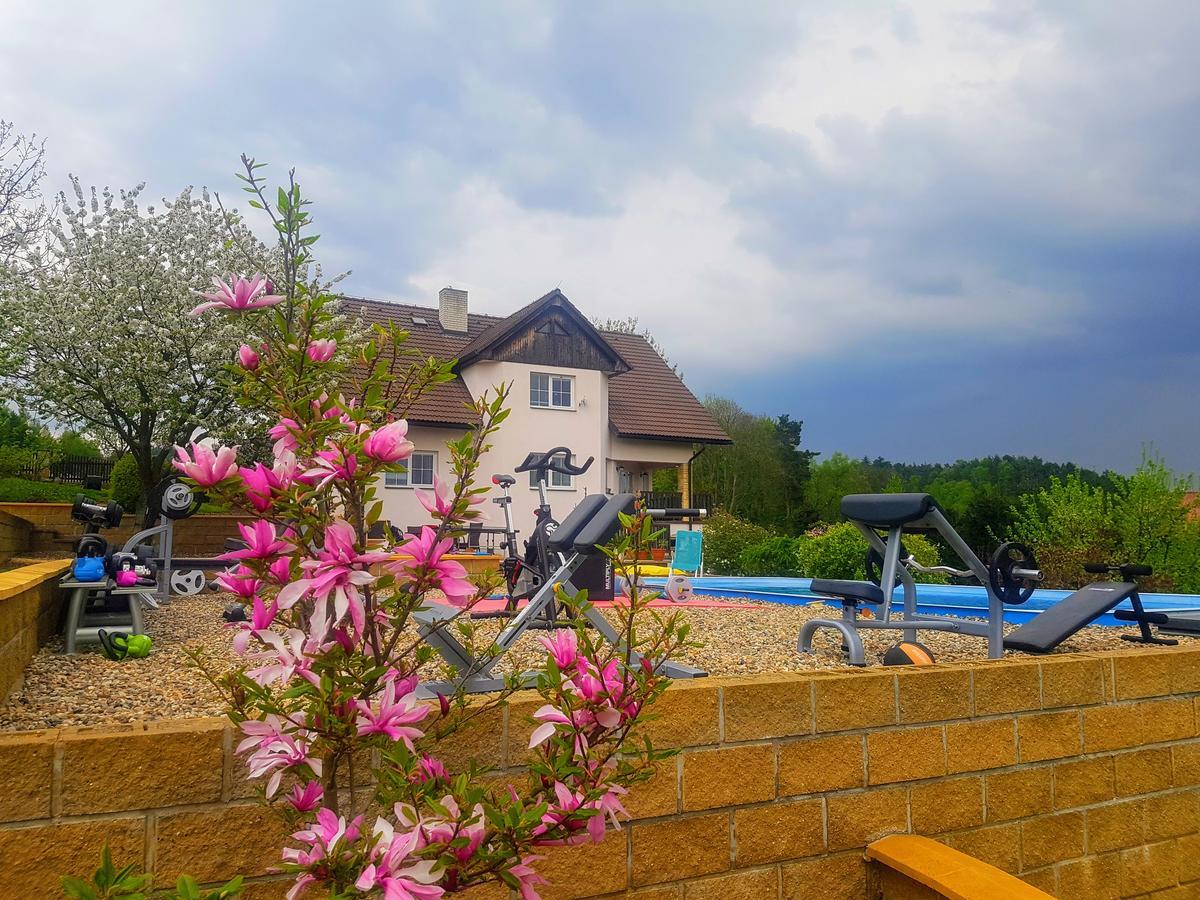 Vila Na Skalce Ceska Kamenice Ngoại thất bức ảnh
